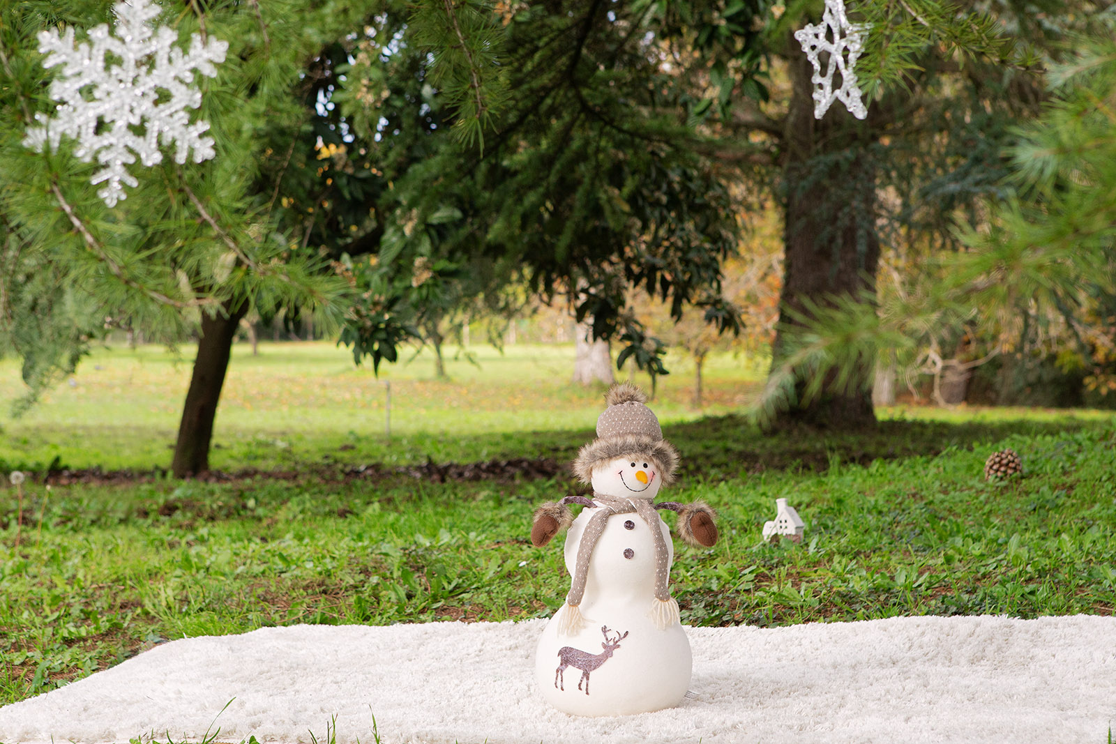 set fotografico natale